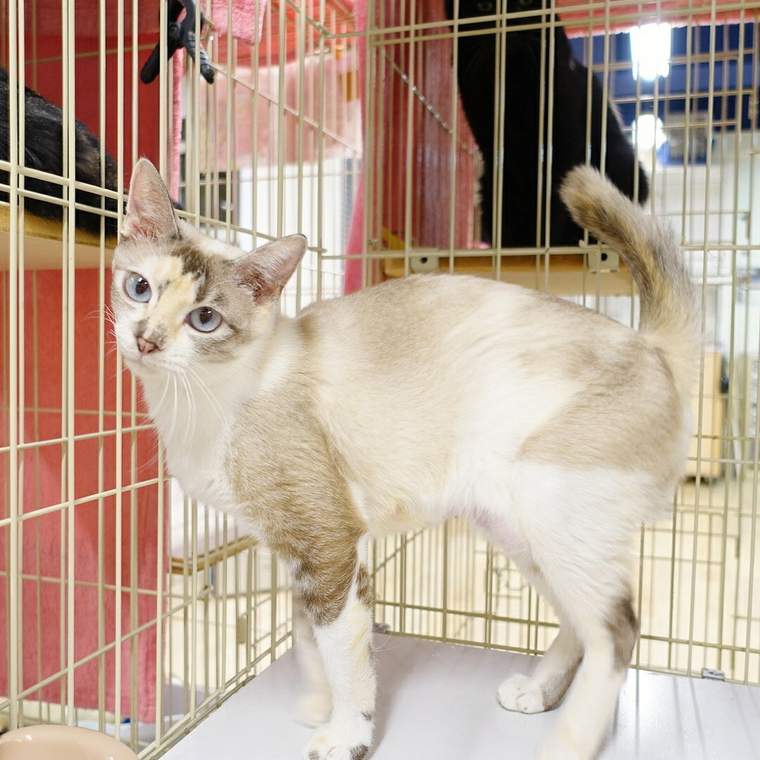 1492741F-2D43-4D4C-B6DC-147A019BC7C4