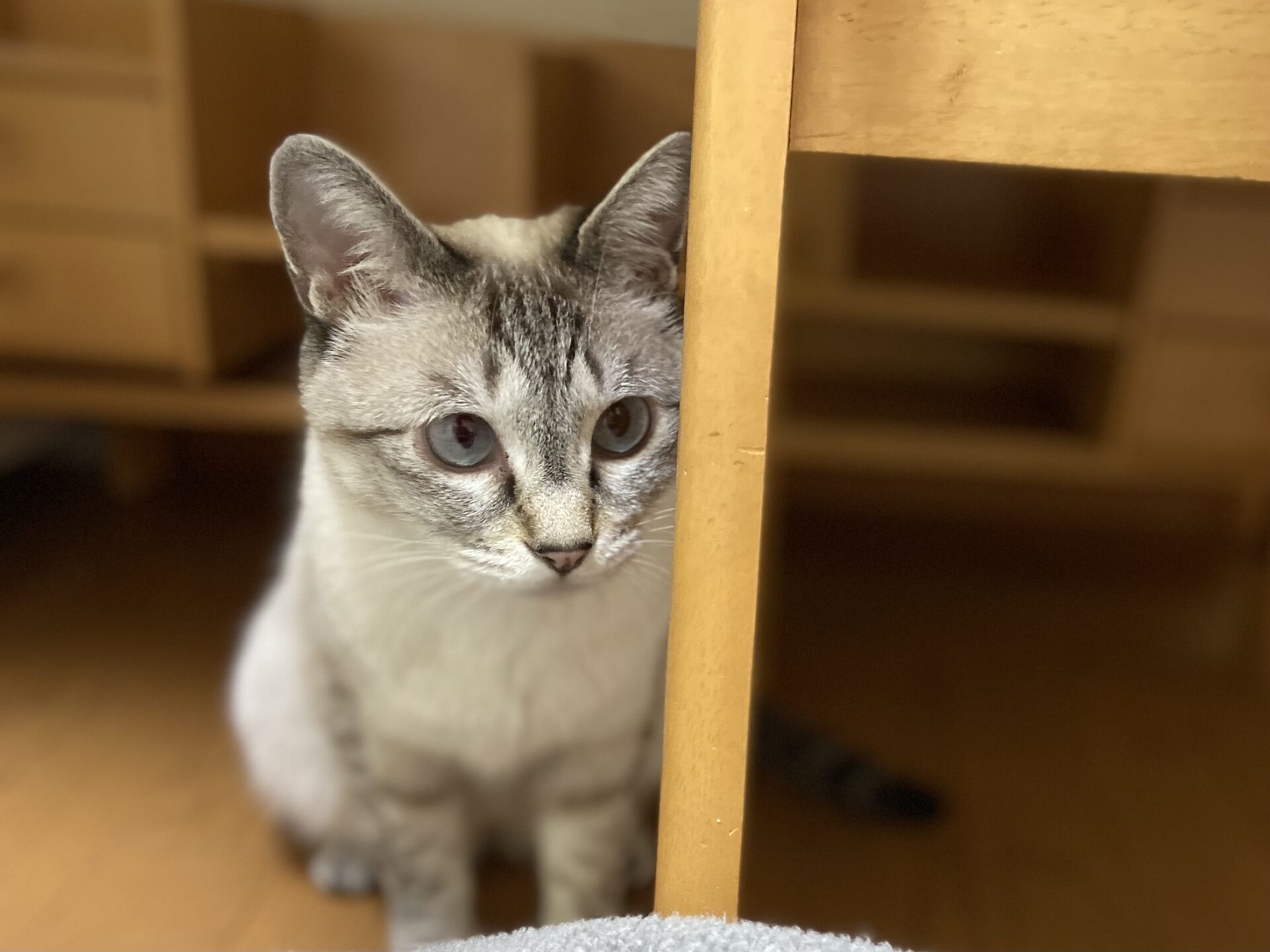 1C07C14E-8736-4A9A-A0B7-AC75E2C1AAE3