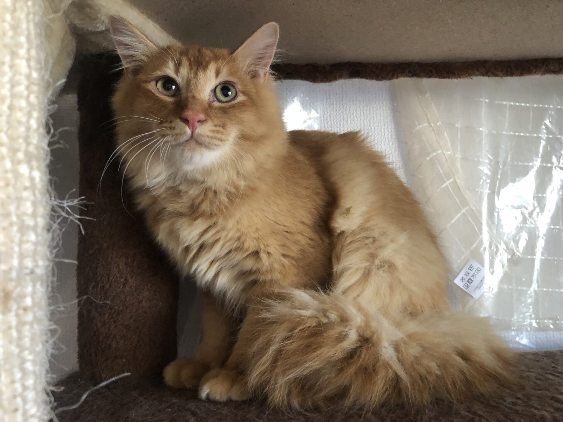 296FA9CC-DA61-42EA-987A-68C6CAAE5450