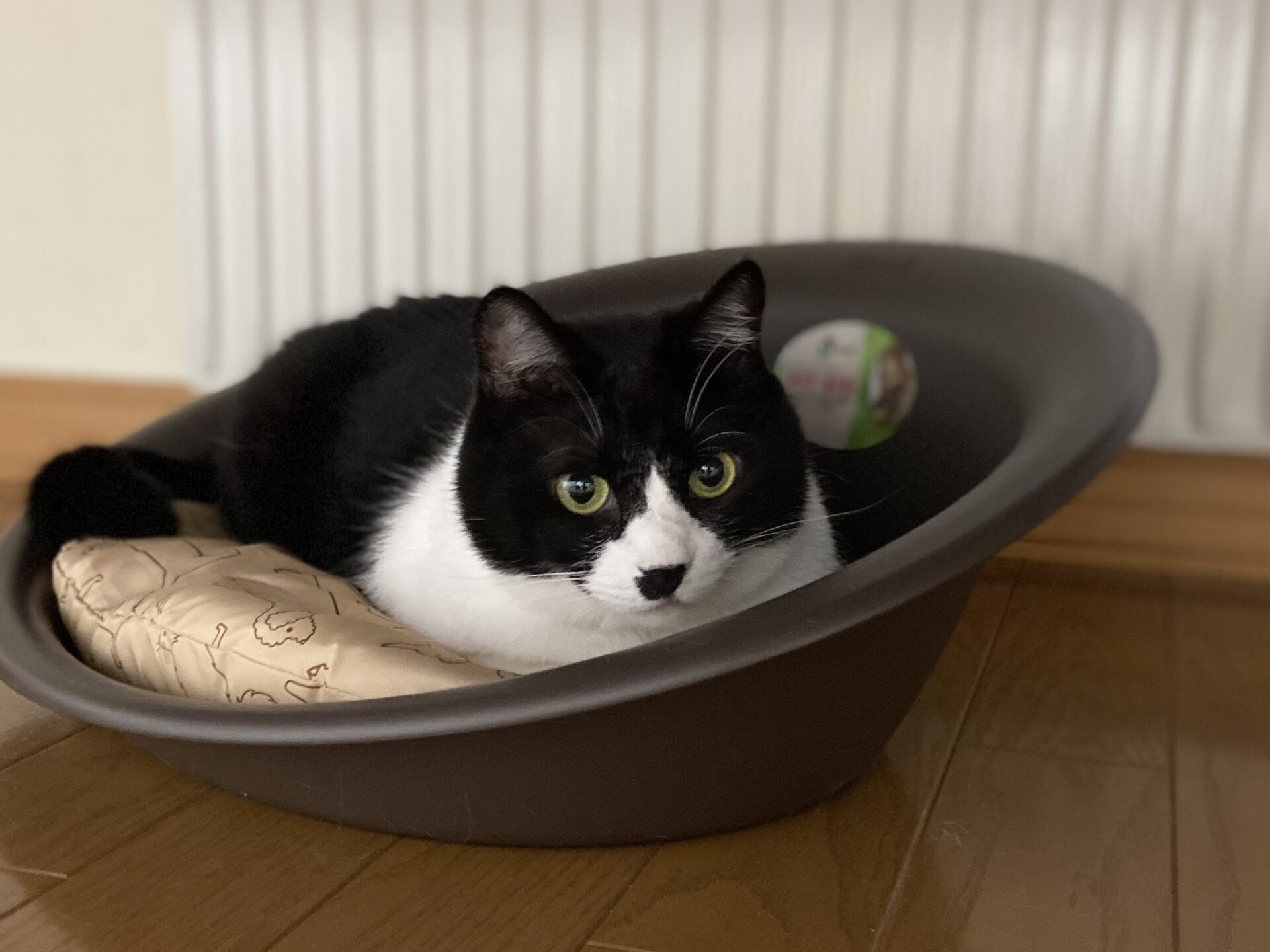 886A86C7-218E-4DF2-A857-6994DF257657