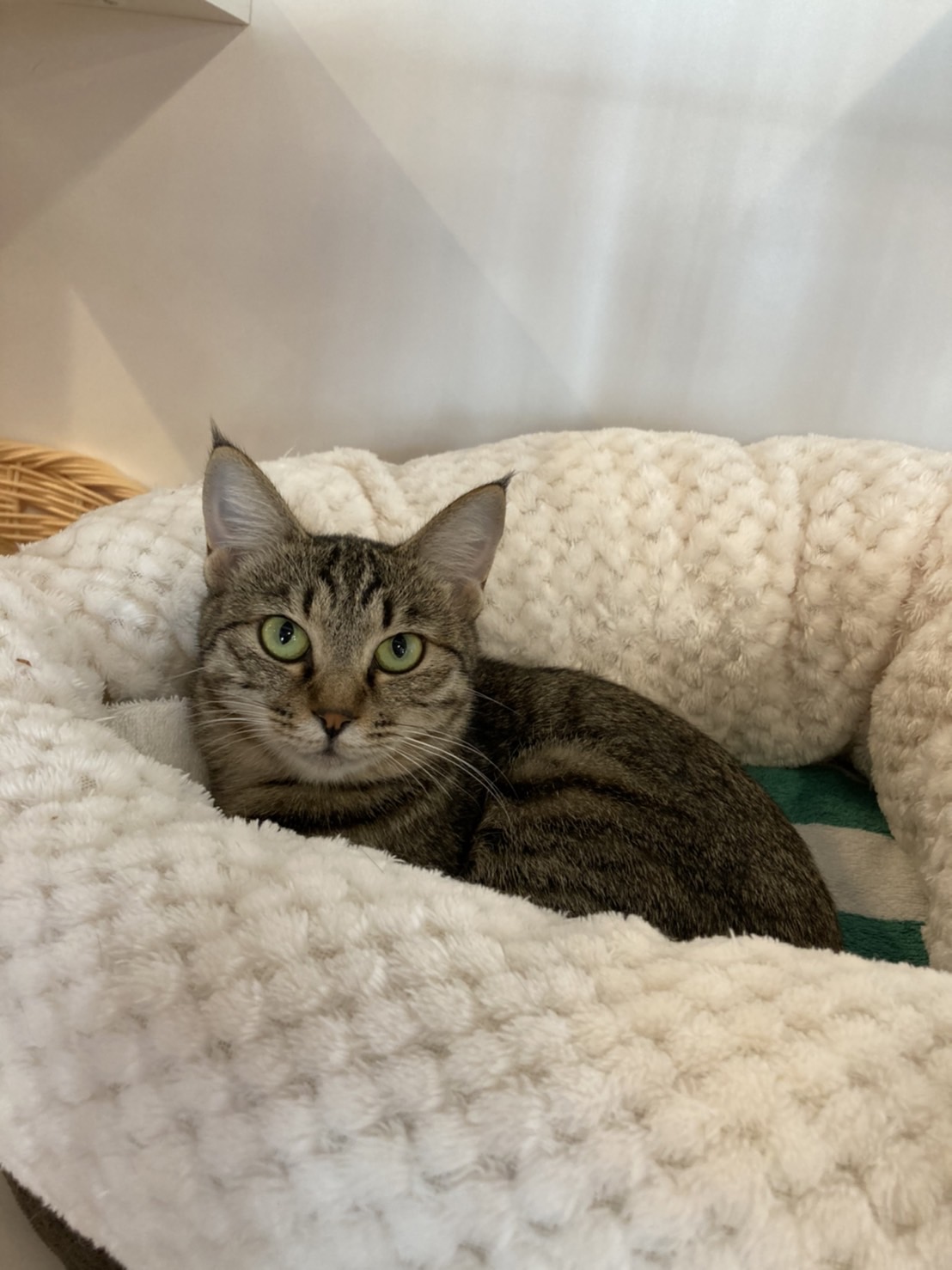 C2A10B81-1049-4AE2-B64A-1031201FA0F7