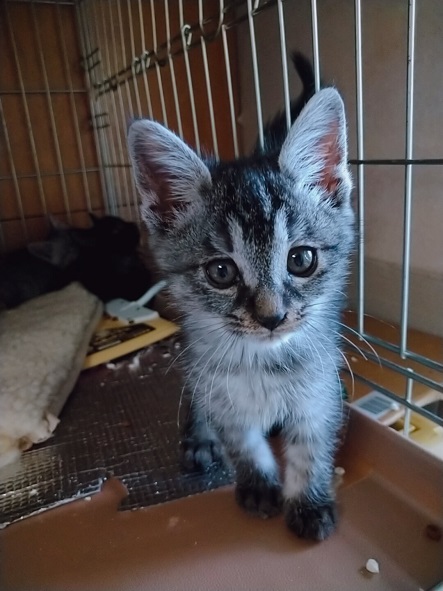 2021-10-22-09-37-03-270