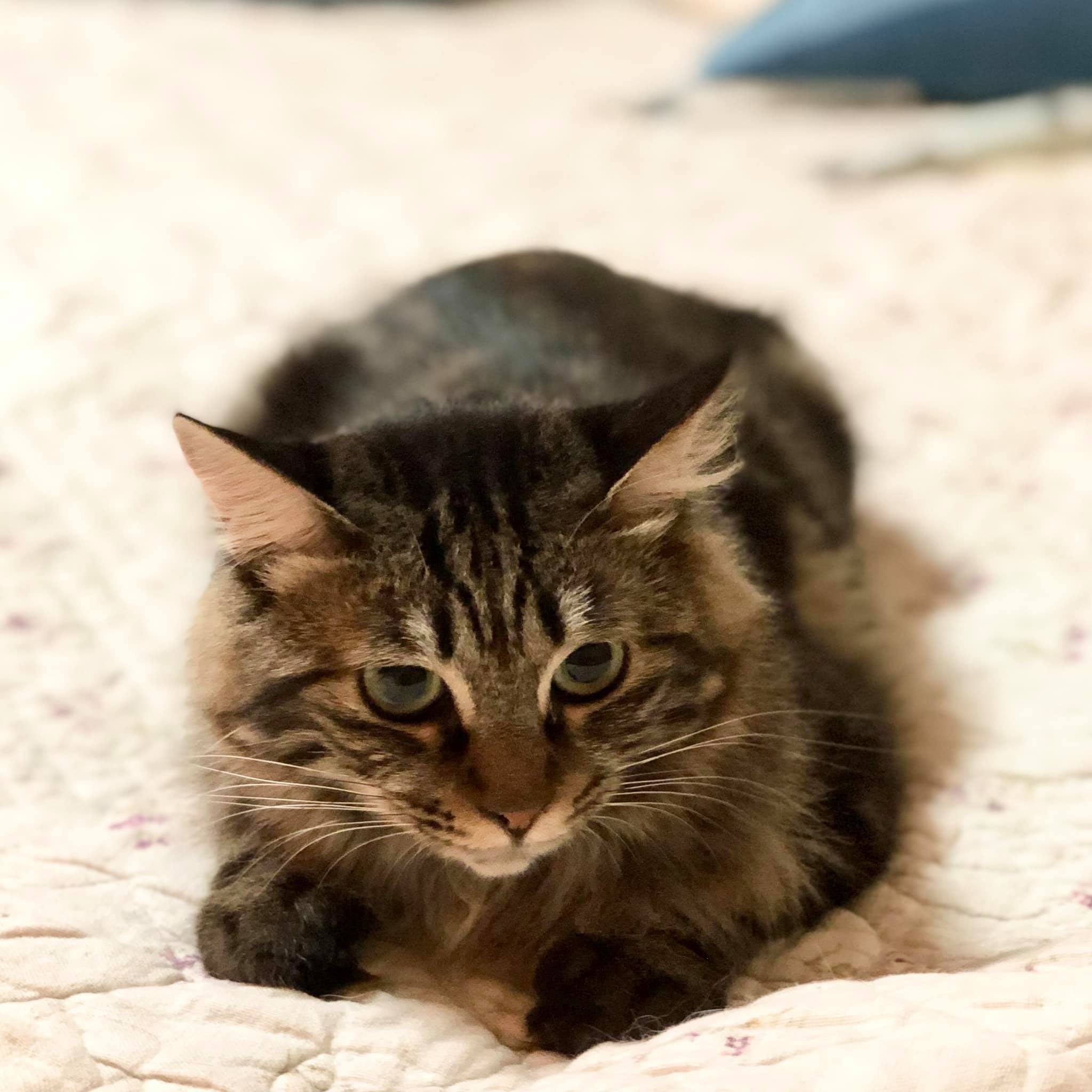 240692196_10226618709039610_7110783460613391028_n