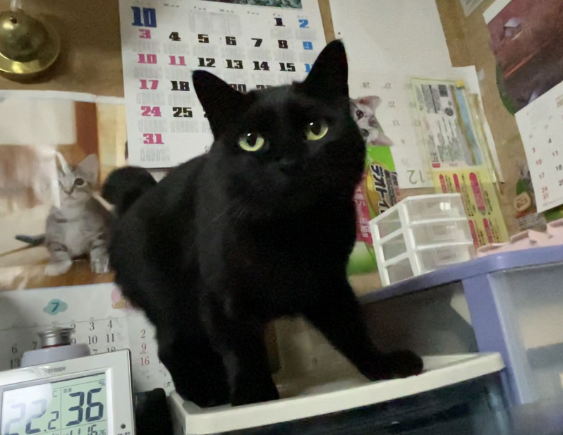 26F3BFD3-9BF4-484C-A7E9-6B200375649E