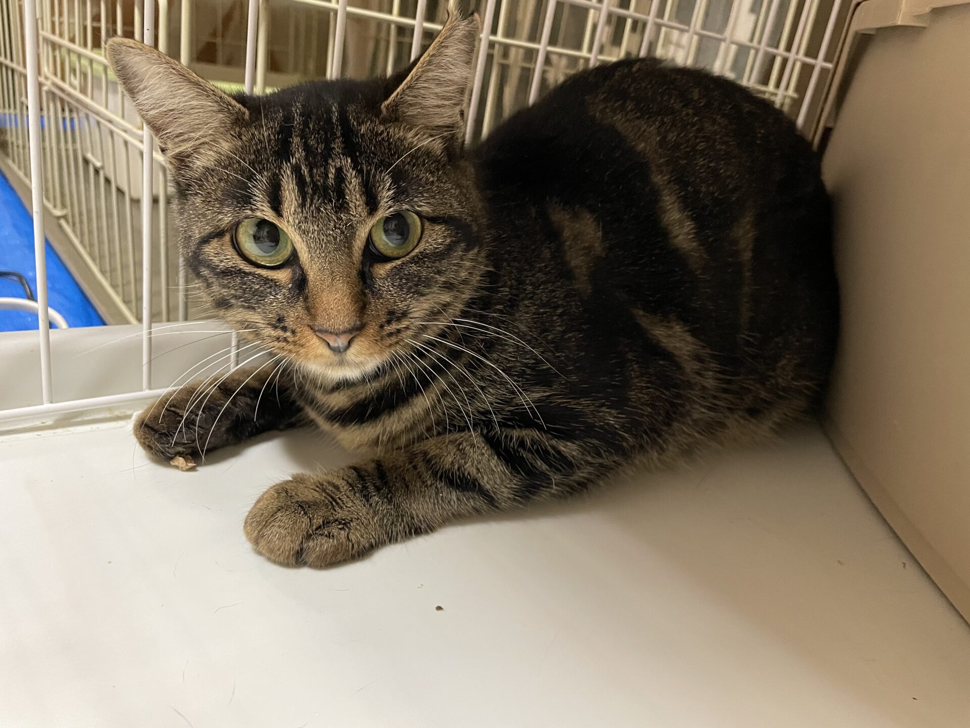 3D45A30E-2129-4592-92A3-4893EAB23553