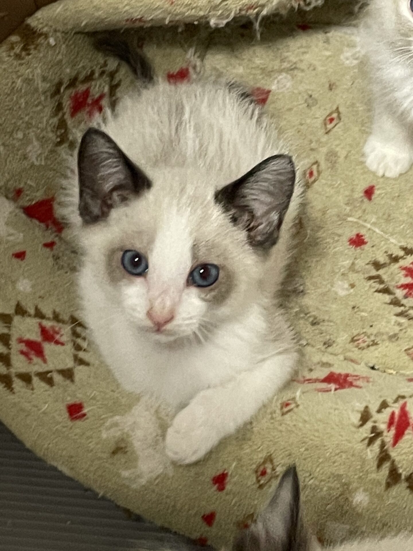 4FF2D825-C18F-40DF-B154-59987571081D