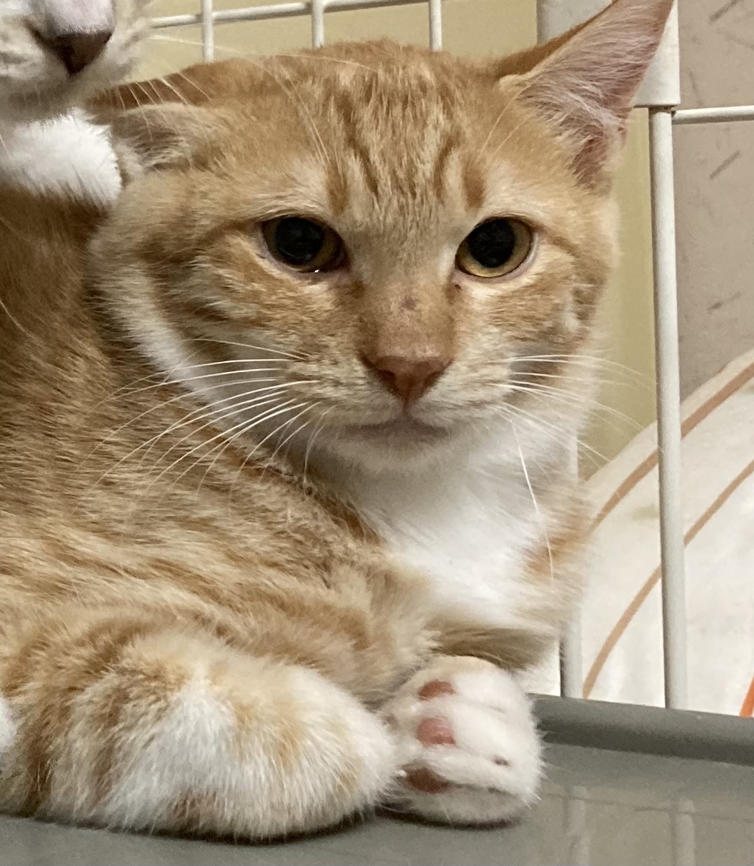 638C5678-6166-48B4-945F-61D9DC65F567