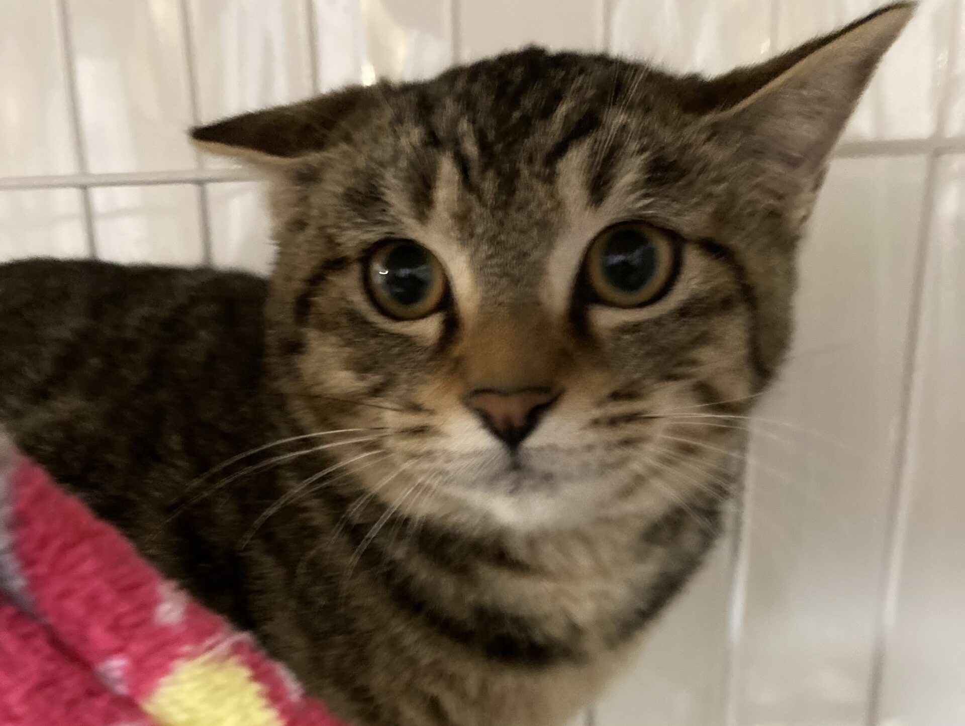 9136DF11-A9B0-4A08-BA04-1CF3DF4E358B