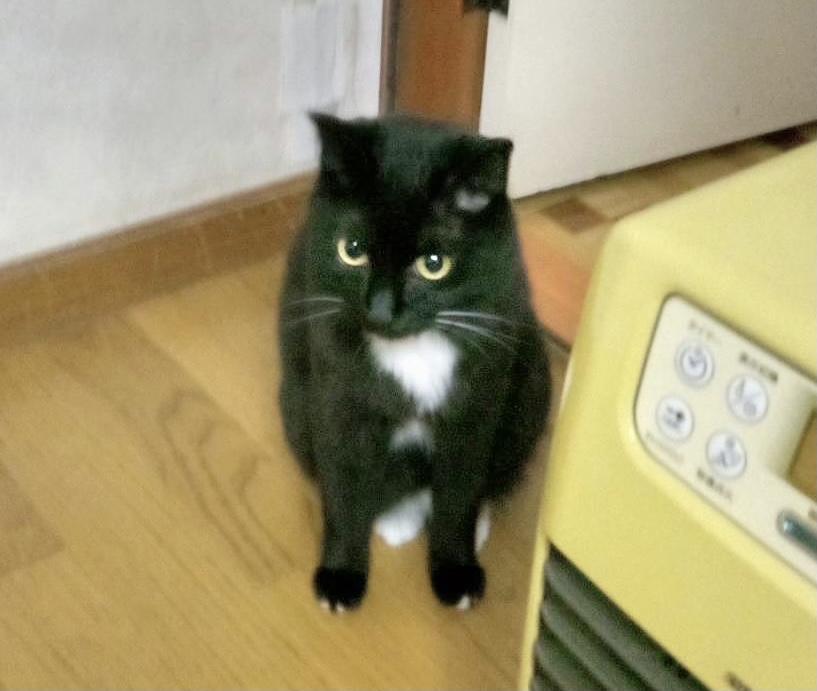 A0B63327-23E6-479E-A694-A6EA08505228