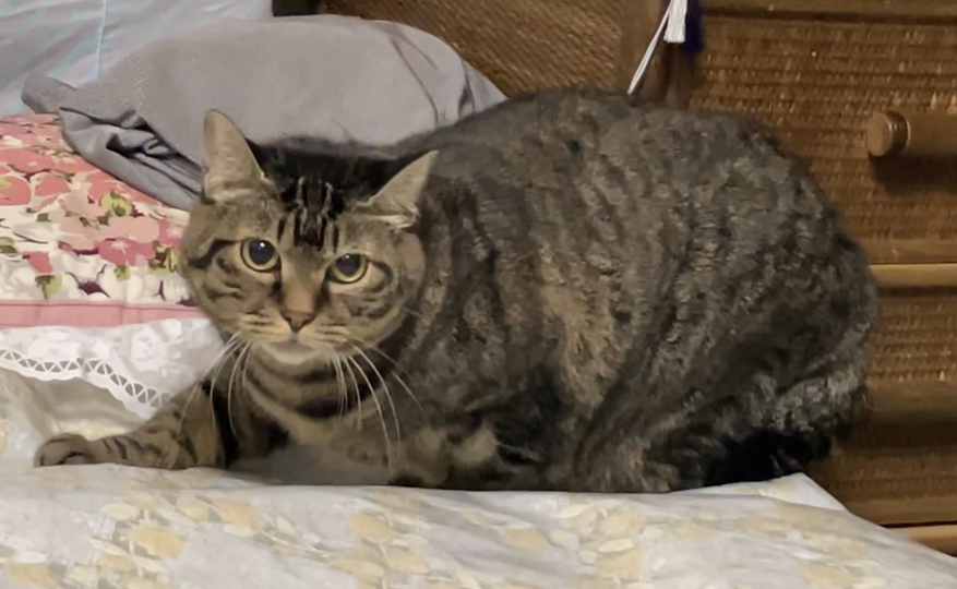 B2D16314-B837-49EE-922A-C258D317C163