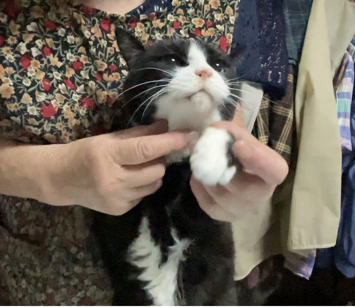 CB23DA4D-E238-42C8-8857-AB7463D96FC7