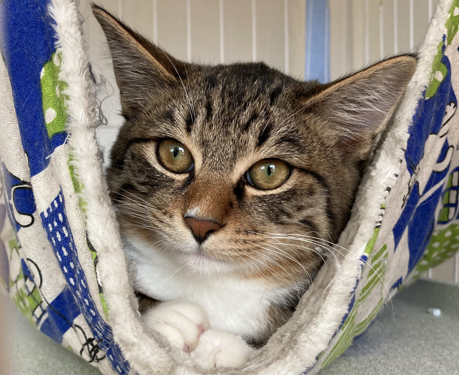 F9242D43-3420-4A51-A3E8-03873106E173