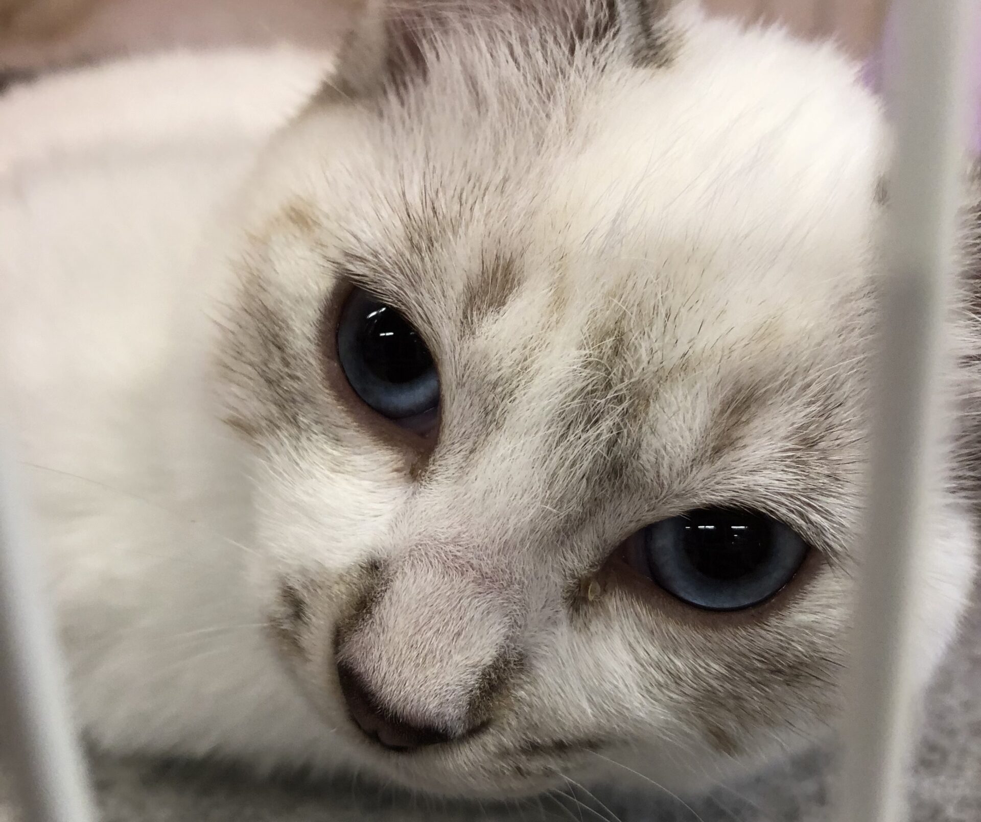 4F540FED-9710-4CCE-B829-7622D66FEB35