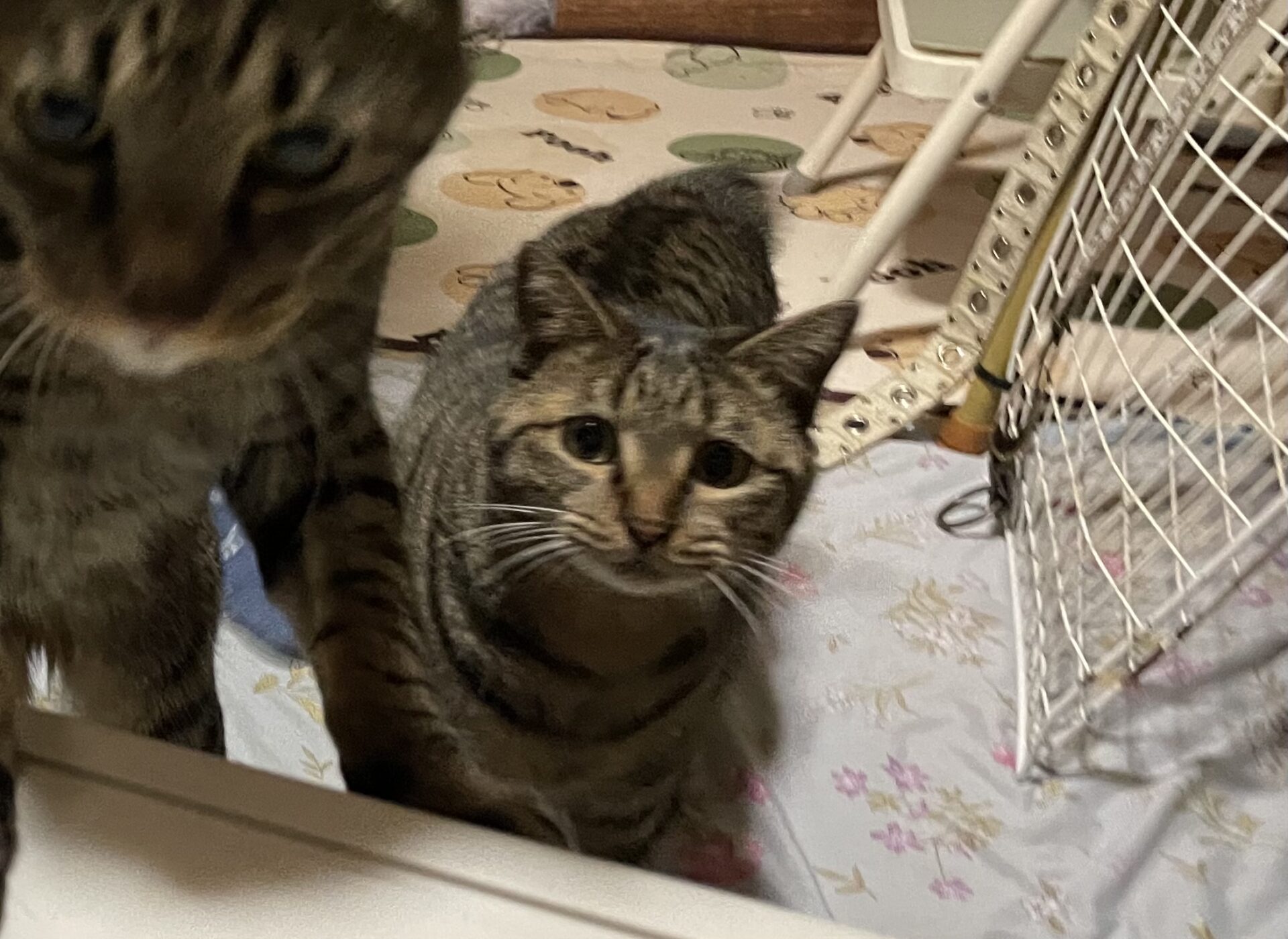 7C6F6C6F-4EEE-4BD8-A2D7-1E2FDAF01AA2