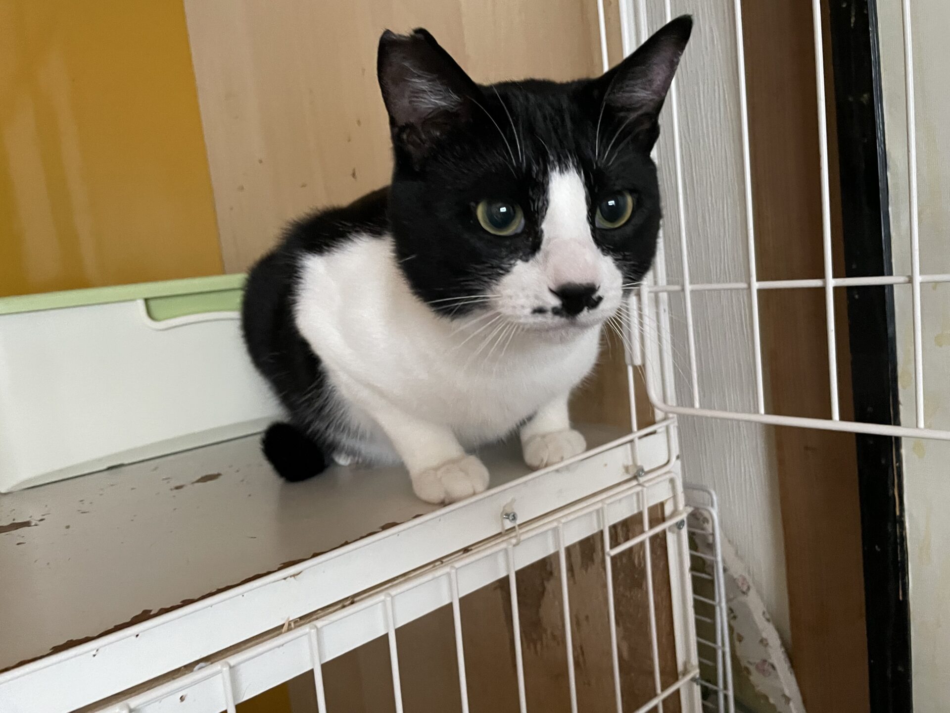 857A7D7E-7D88-455E-9F41-EF0E7A7698DF