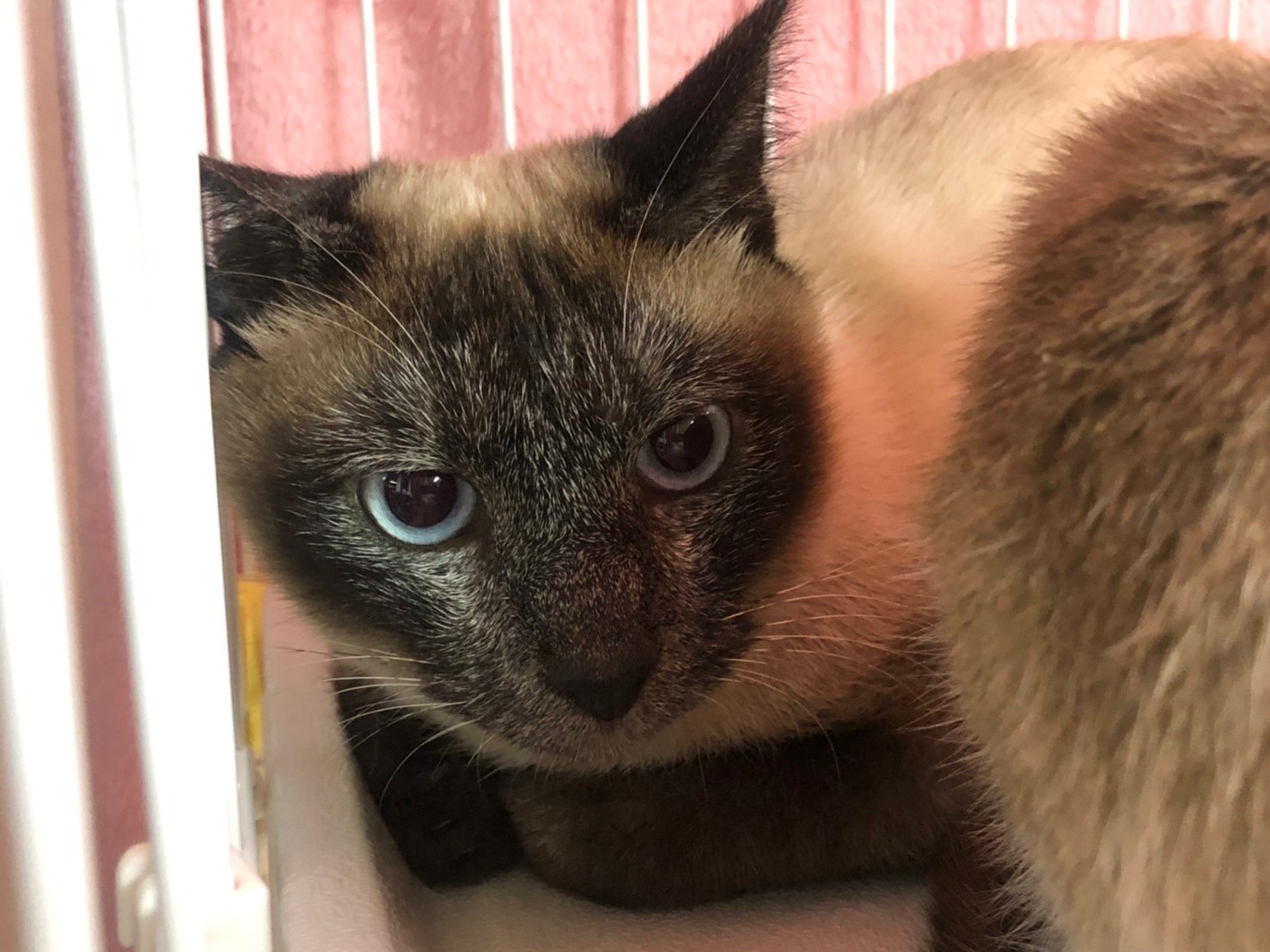 9A5EF88A-777E-4DD6-A2E7-C7E425A7E339