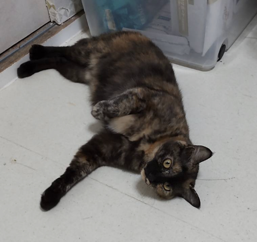 B430E2EF-1ACE-4AFA-A369-0B6A9D8FFC68