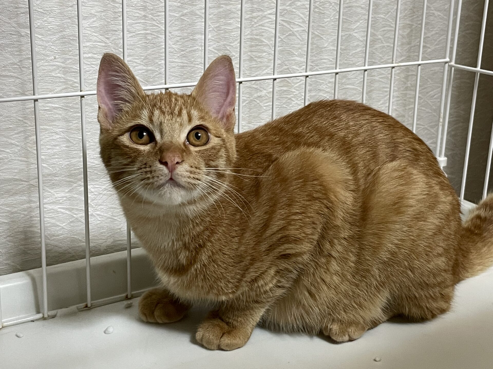 F7BFEDAA-E54A-4E43-B87F-1588491E0FEE