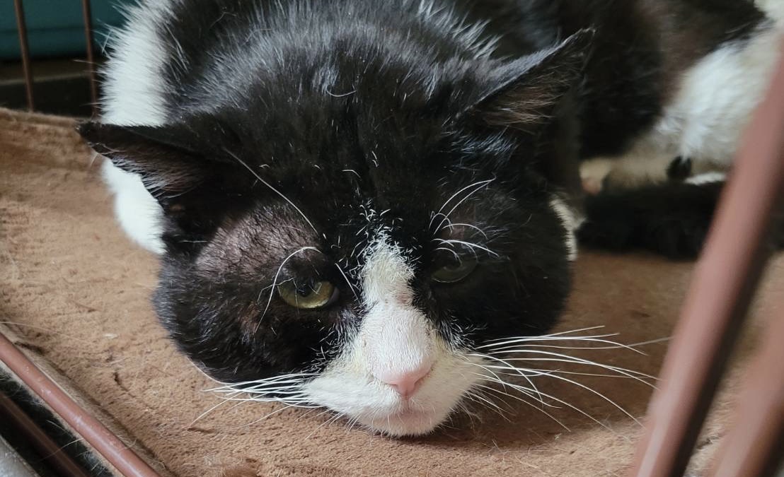 0FB42FAB-D898-4F09-95DF-A47FC4320B91