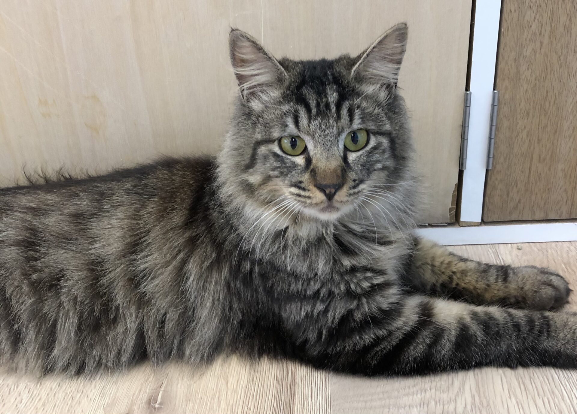 293678C7-1DB5-491E-AC7C-48D807026C63