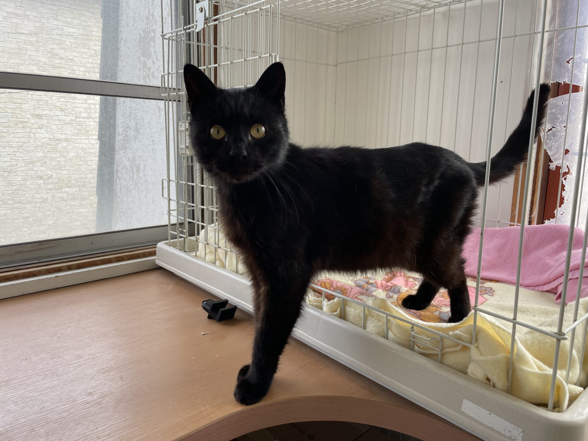 31779990-C731-4956-A4D9-4CC127DCE196