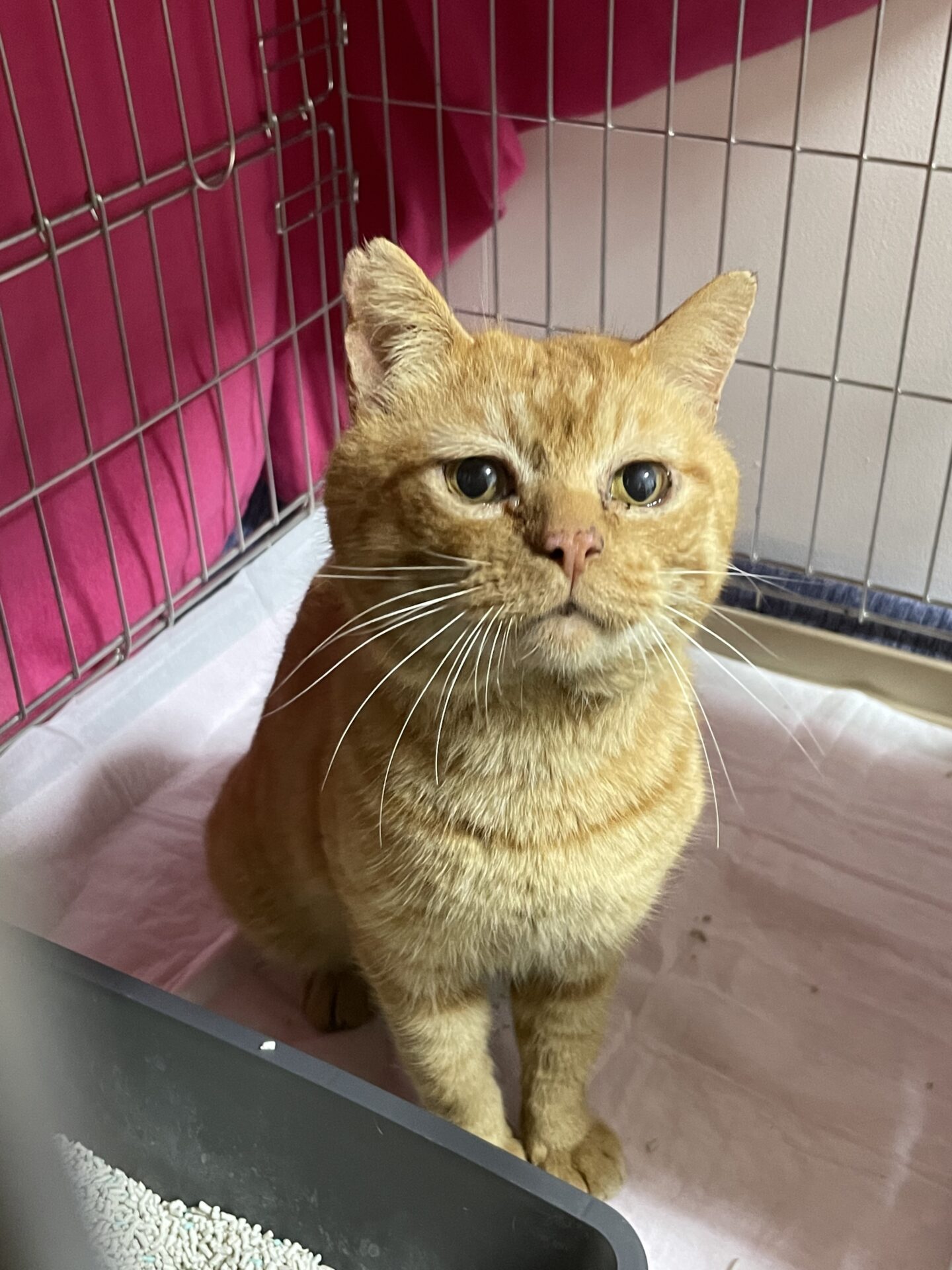 5BD44497-C32E-4C4B-8886-FB85AD1E1EDE