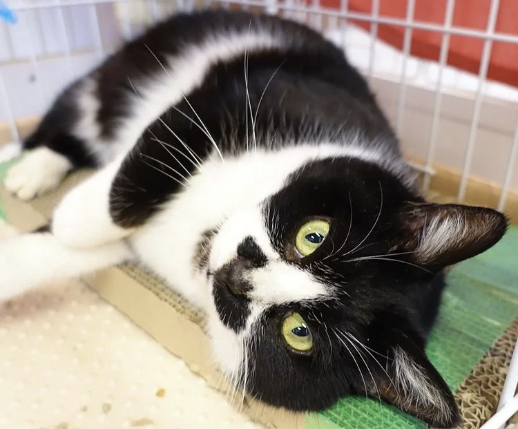 A83D3B86-D7FC-4E59-A167-0BA7C87948E0