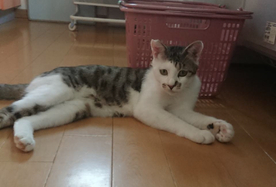 F99E1793-404C-4E4E-A648-6256EFB3F9BD