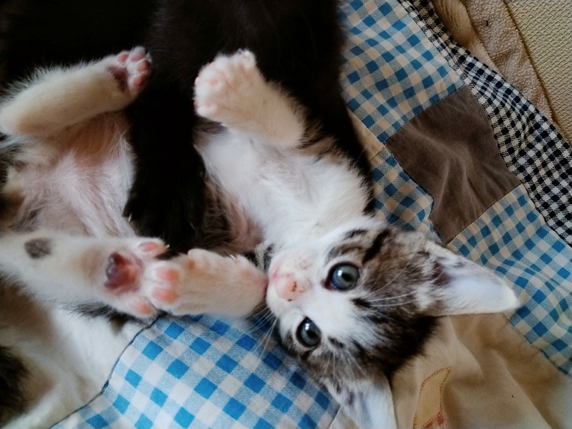 2022-04-14-09-55-01-582