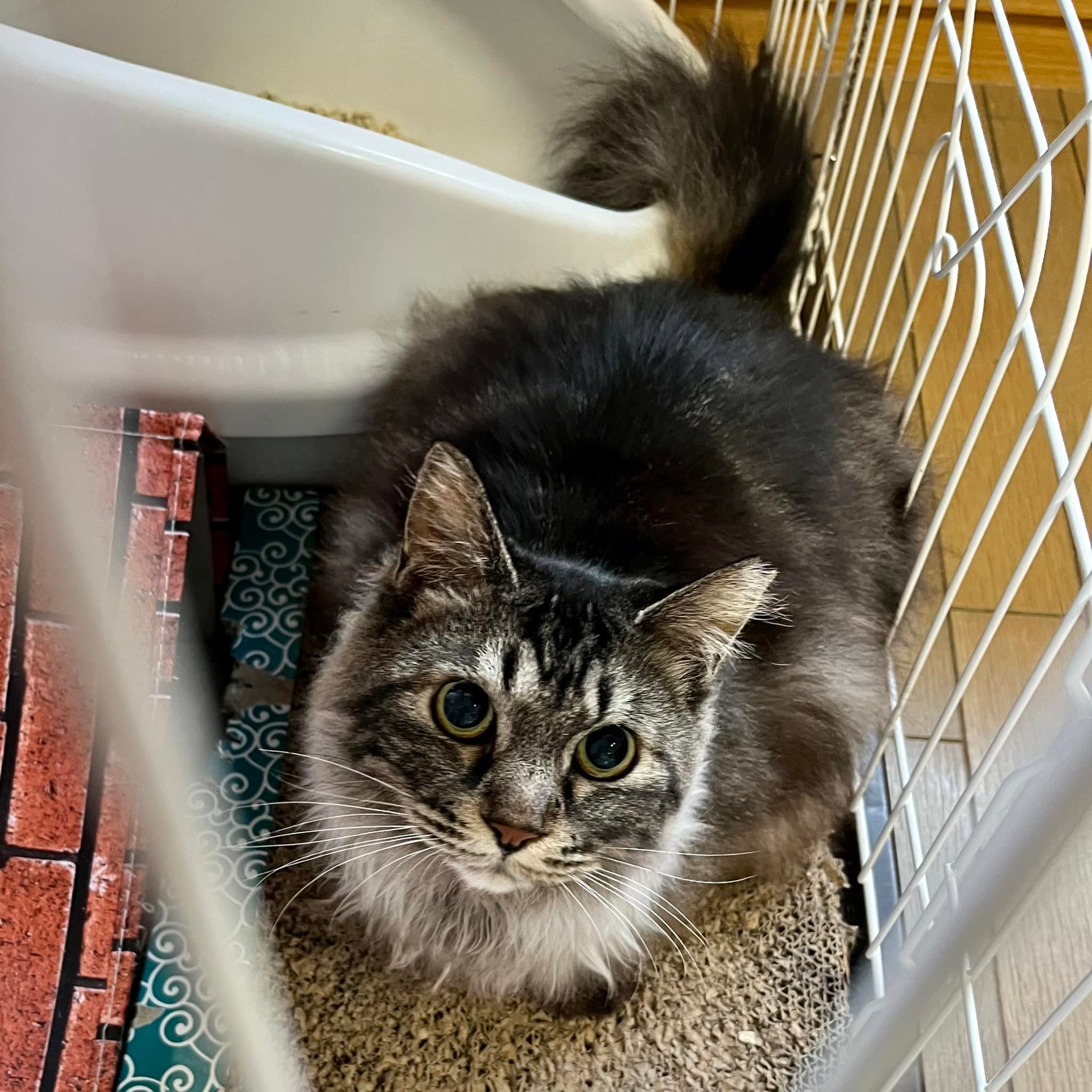 279942860_10228050442192044_5789892316485028266_n