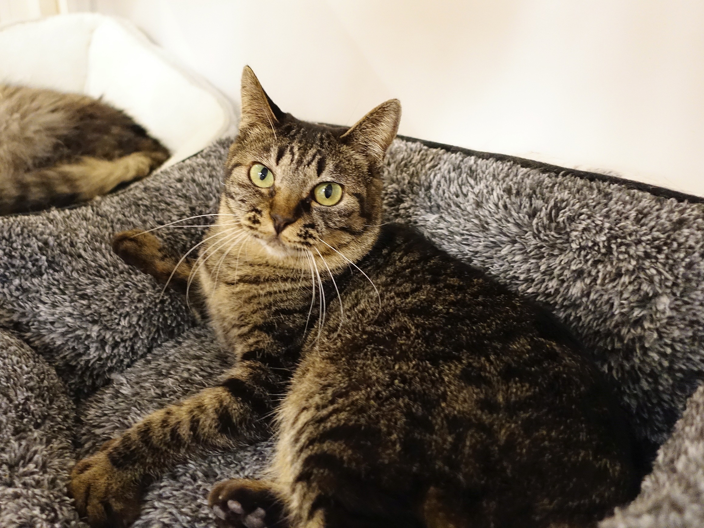 29F2968A-9D94-40C8-B54C-674A7416FB3D