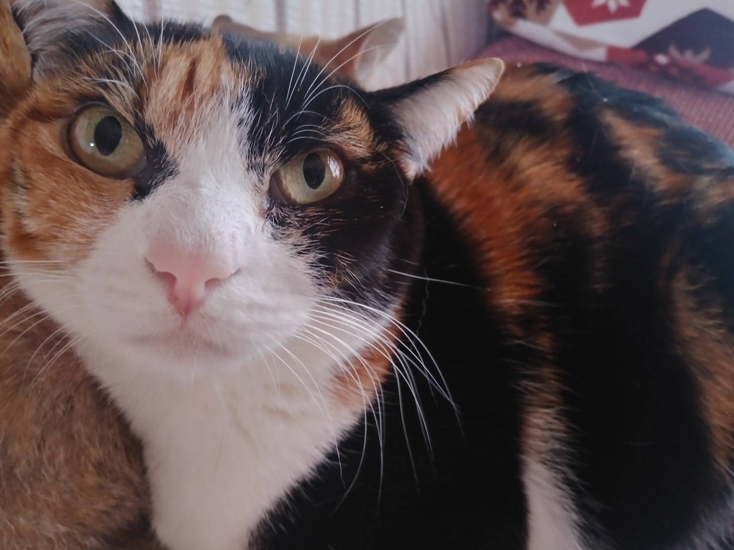 493014A3-B3D6-4615-9F8B-8E31DF3BE4CB