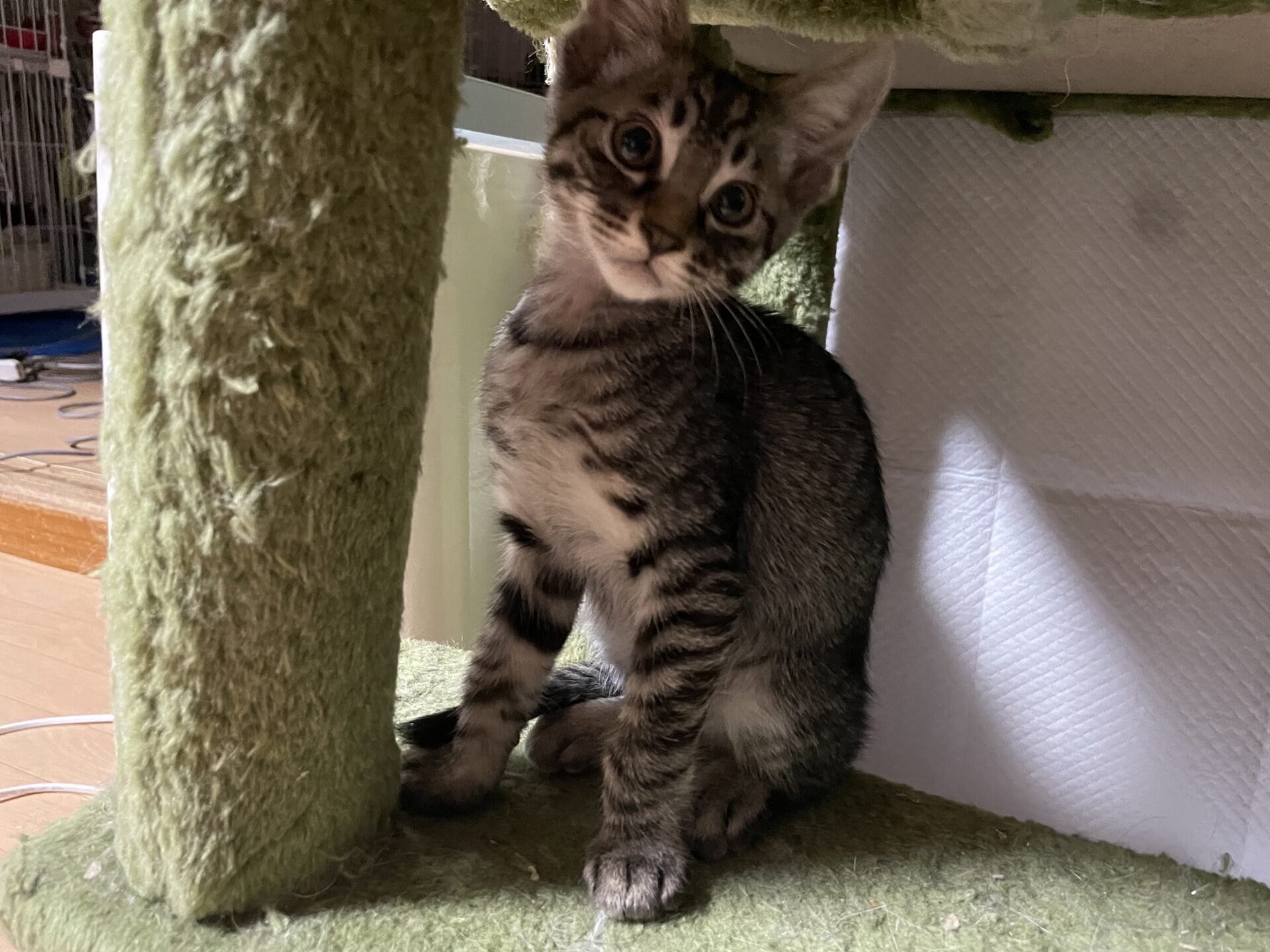 5CA76E8A-42F0-45DE-B585-69095F9B2372