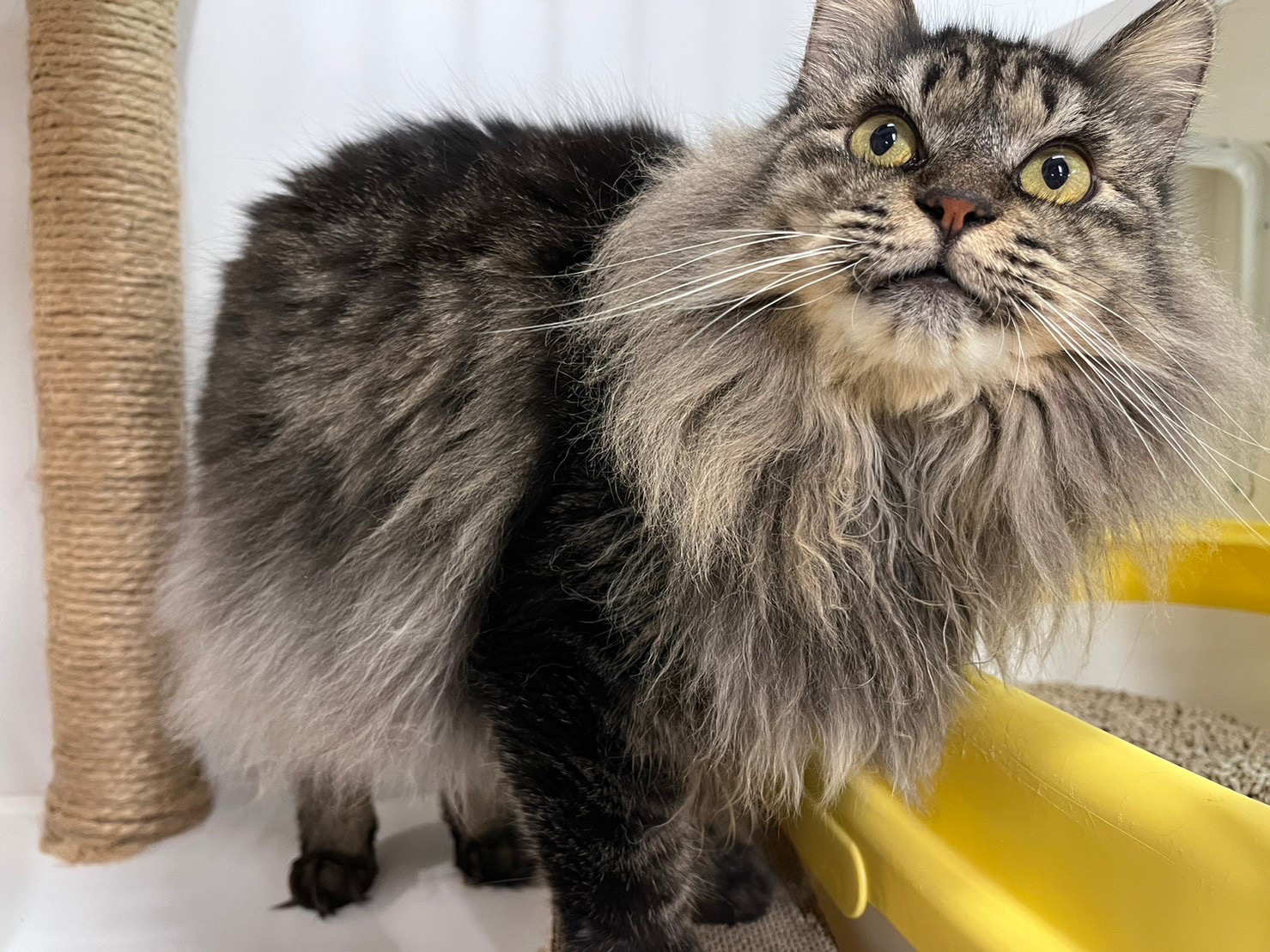 78397040-17E6-4172-A904-20CF8F000268