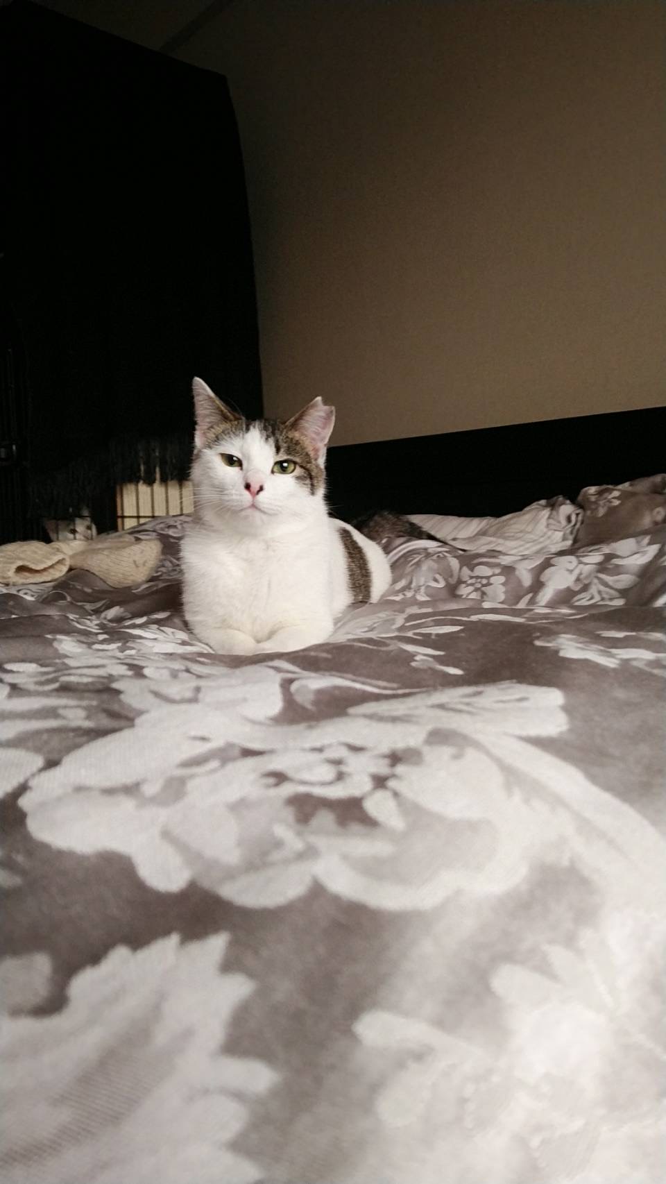 AB30D158-3B51-4962-8818-9C72E7A4AC04