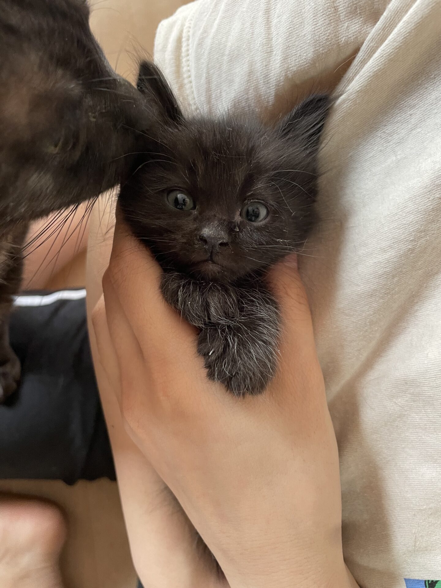 EB139BAD-EA48-4E23-9A22-E10A735482FC