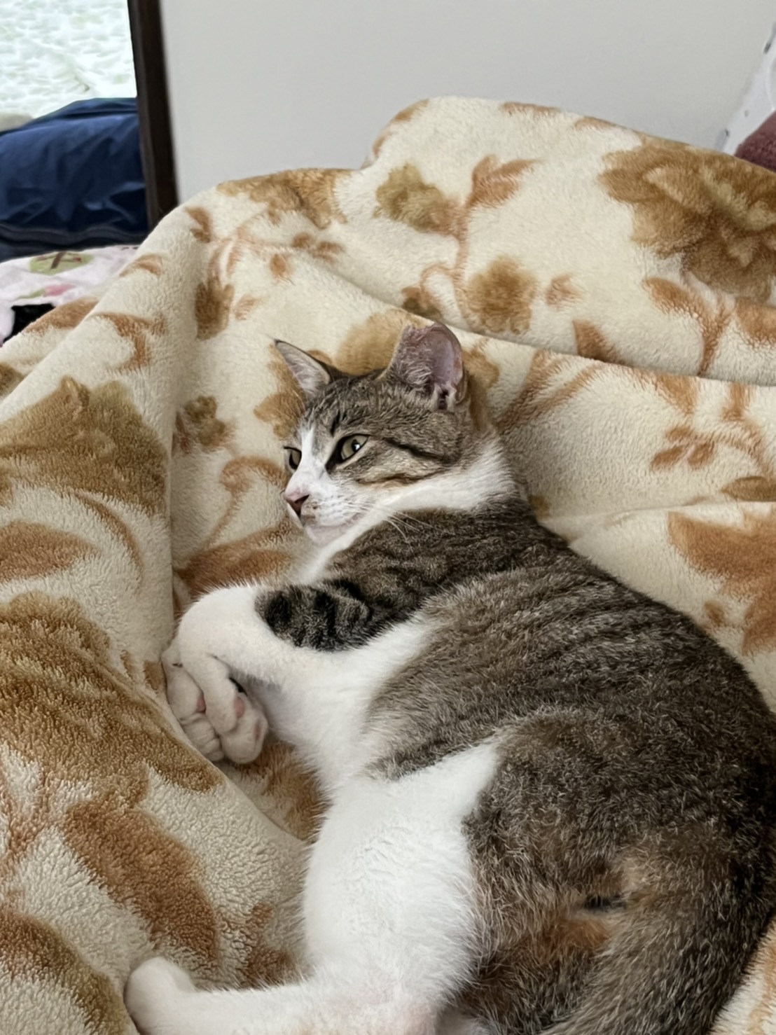 1F8F6BEF-6F59-4722-B398-15968C69419F