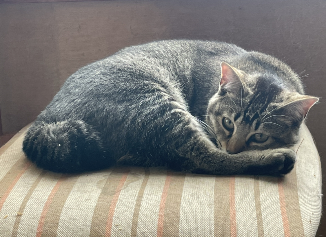 5CFFE0BD-F05A-4068-9993-D110EDEF8BAD