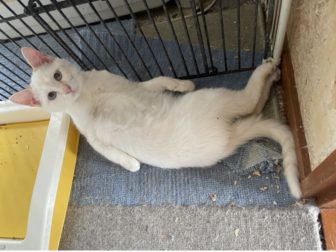 E81C1059-A20E-4495-A490-19D96A483CC9