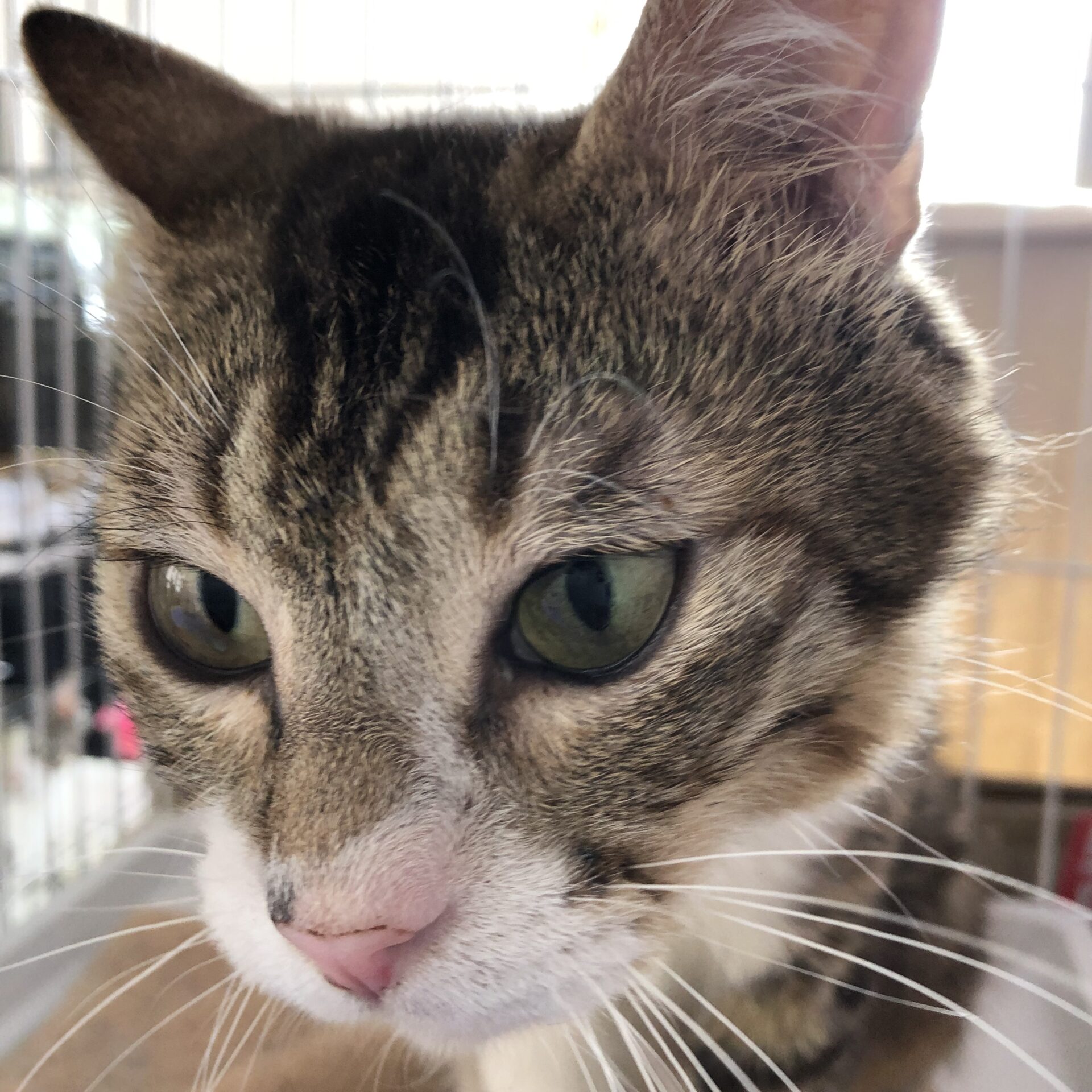 021D888F-0E48-47C5-AB00-B67E7C3F65F8