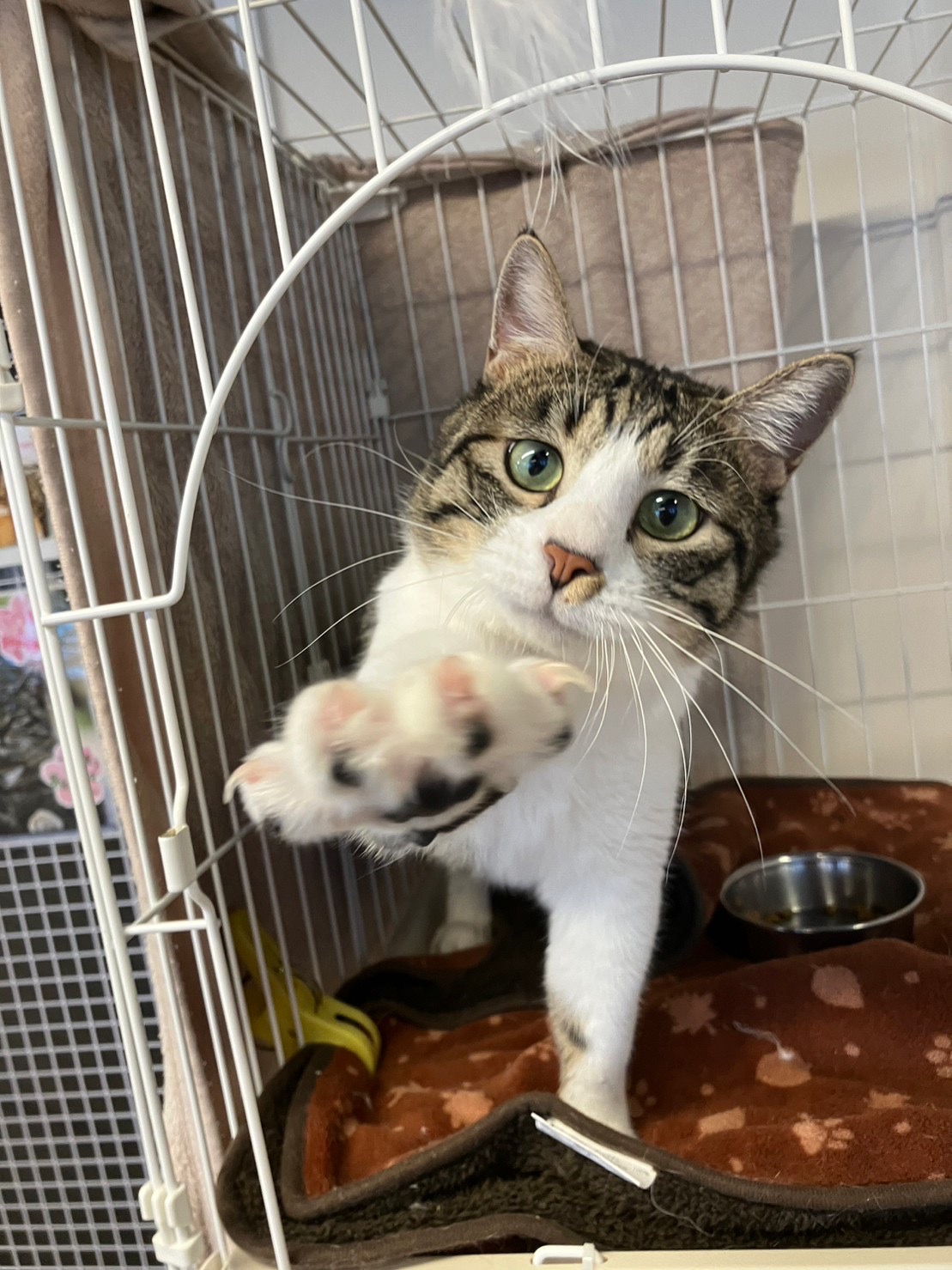 12DD311A-7DE5-4310-A6FF-C7EC3763DDDB