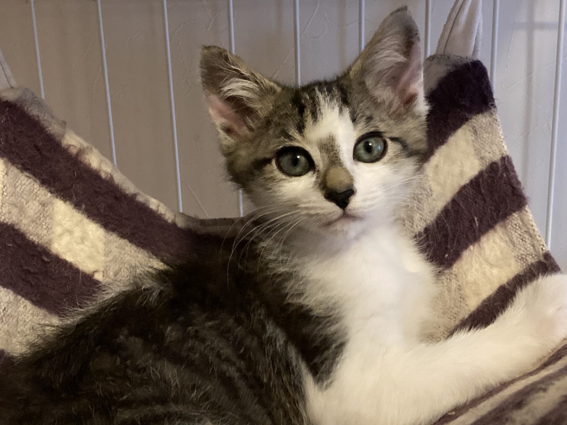 17021C0C-9B9E-4801-8807-2A380DC9DDE5