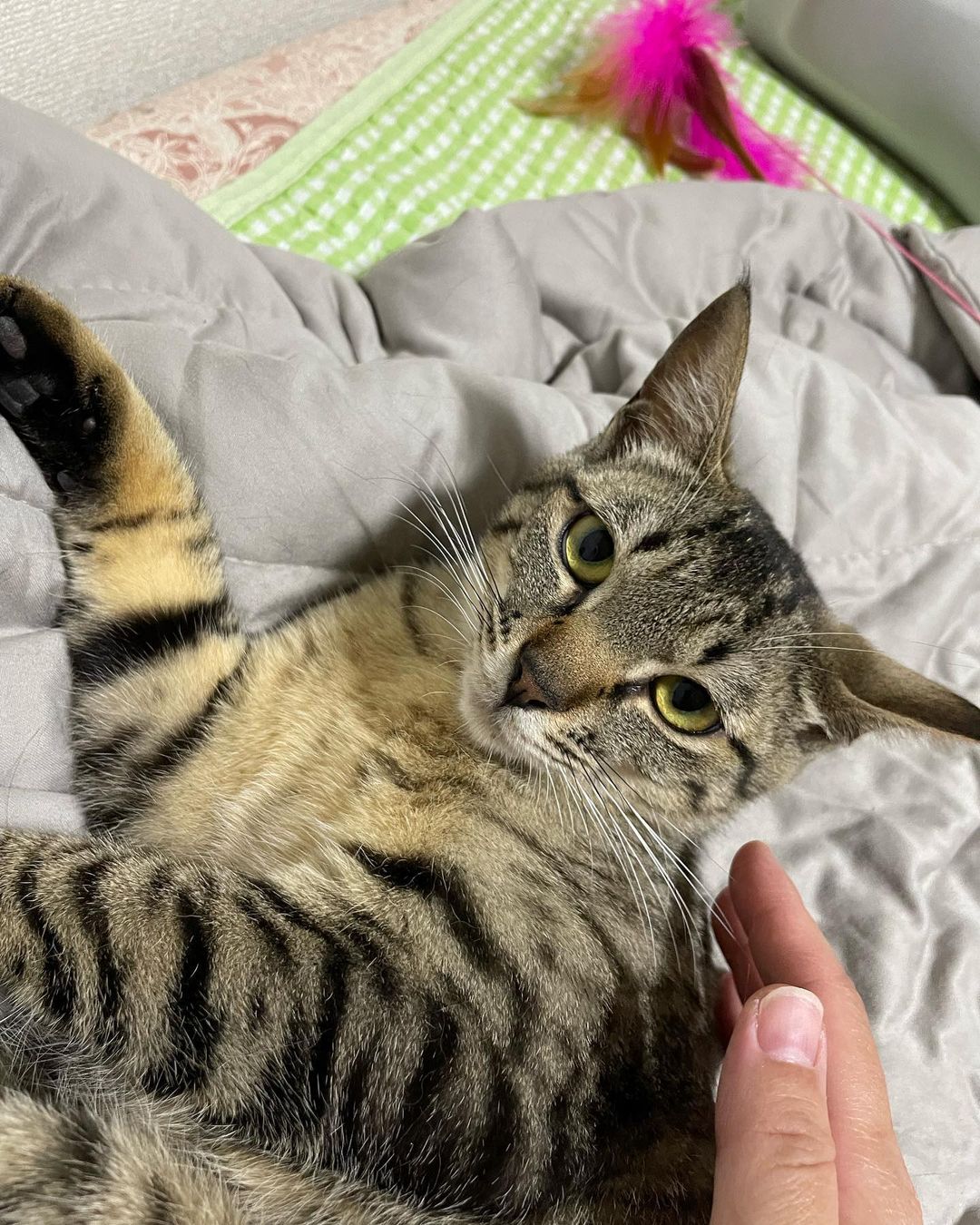 290423253_1725185631167225_3002910435051566525_n