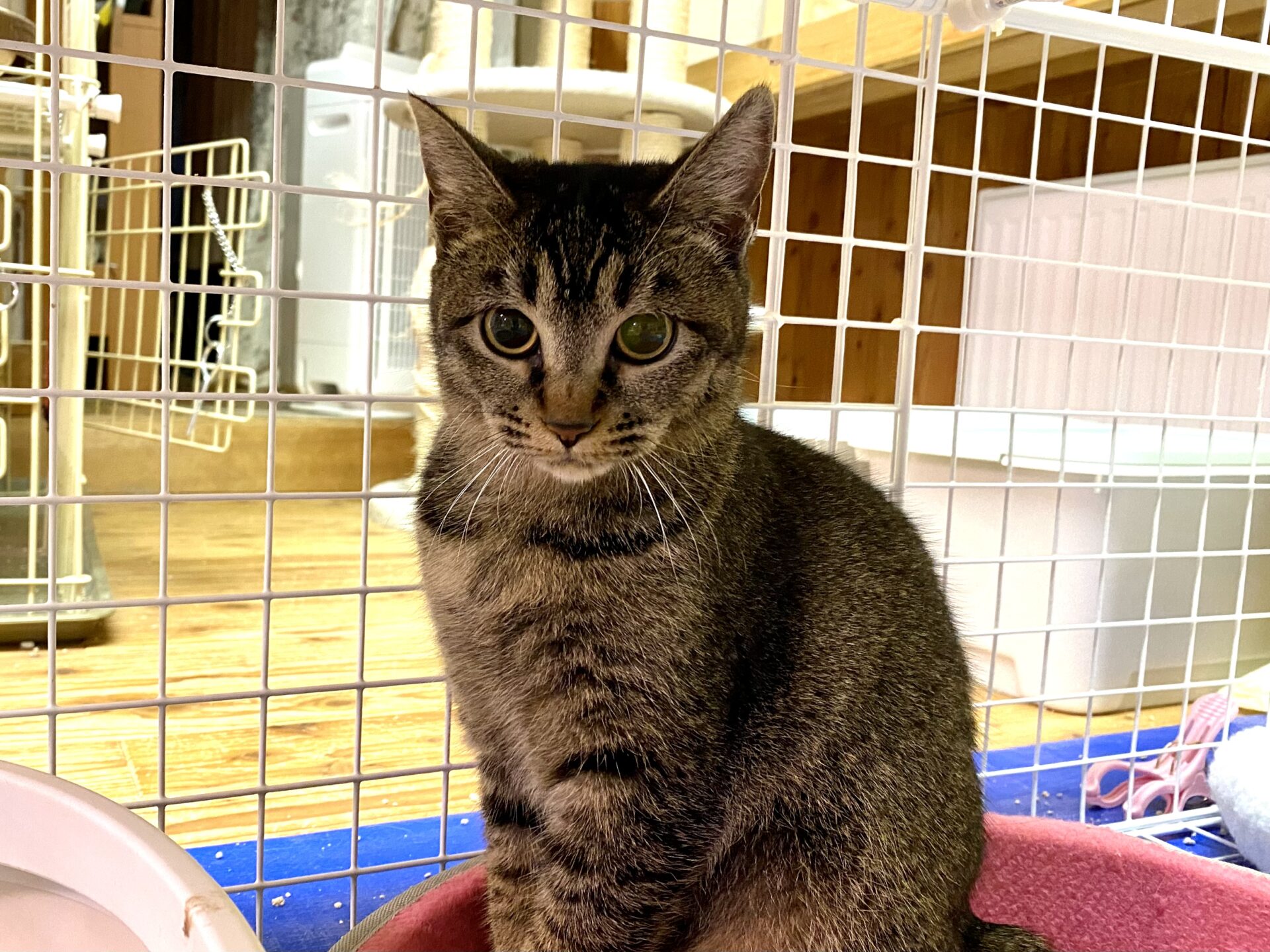 303A03C1-C89C-4463-8DFC-47C835539E53