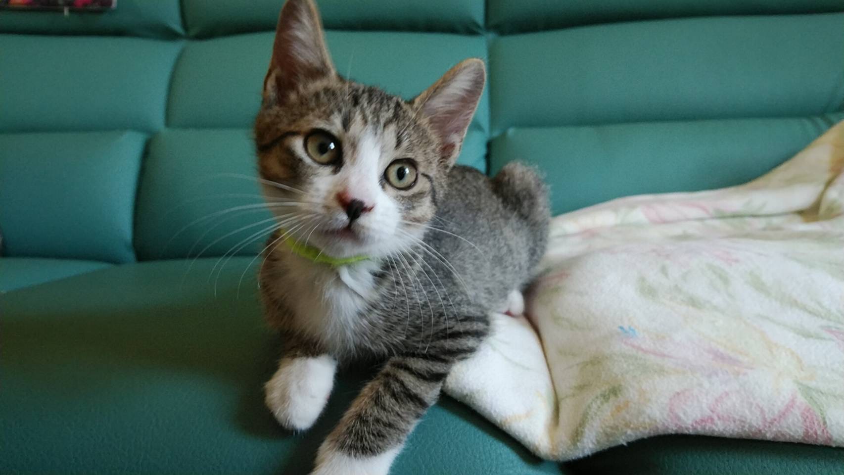 625151FB-36FB-41B2-95F9-2523F5F1337B