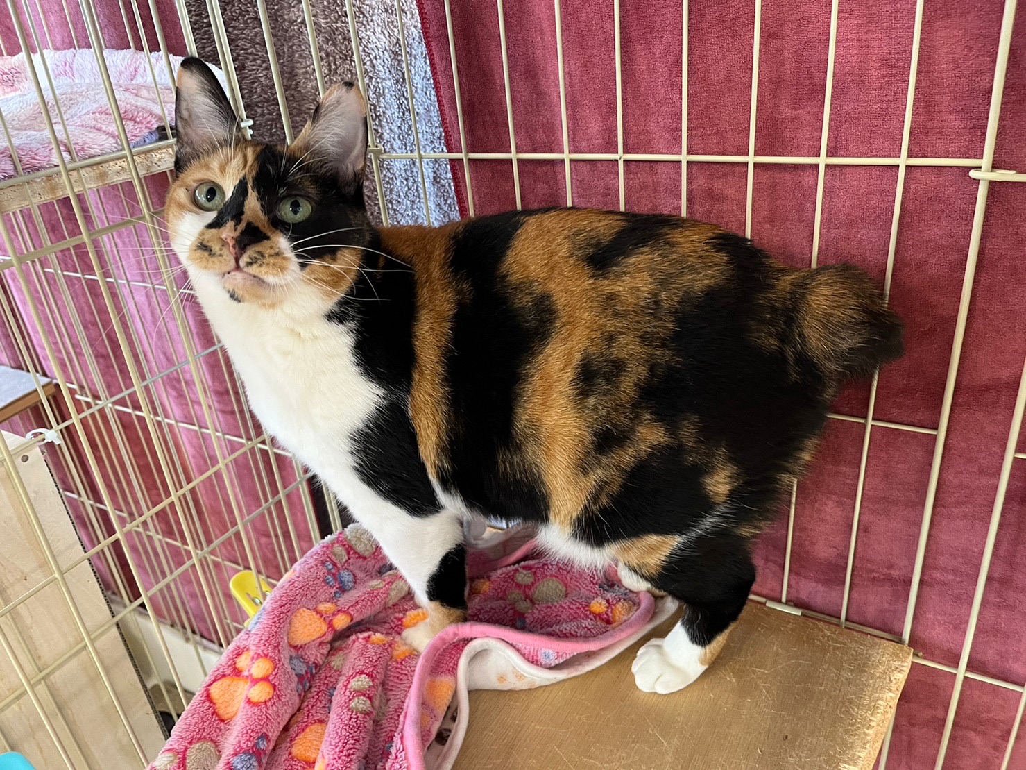 76A61DCC-96C2-40EE-A023-4ACC77F7BF3F