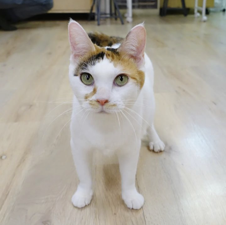 852DD320-BA68-4891-8424-15729ACD7FE9