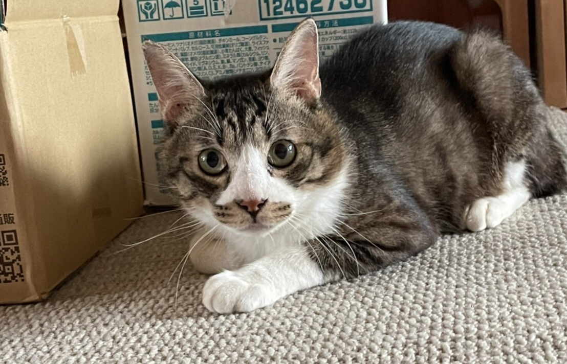 90309915-3F15-444A-BFAE-649BF8AC6403