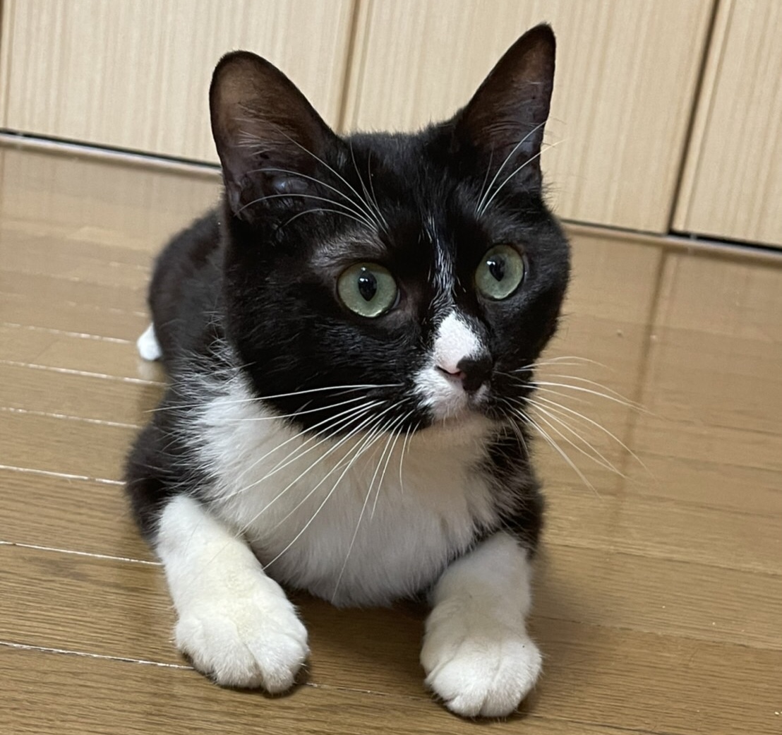 DD292D2A-1CF2-414E-81DE-E9BC42FBD6B0