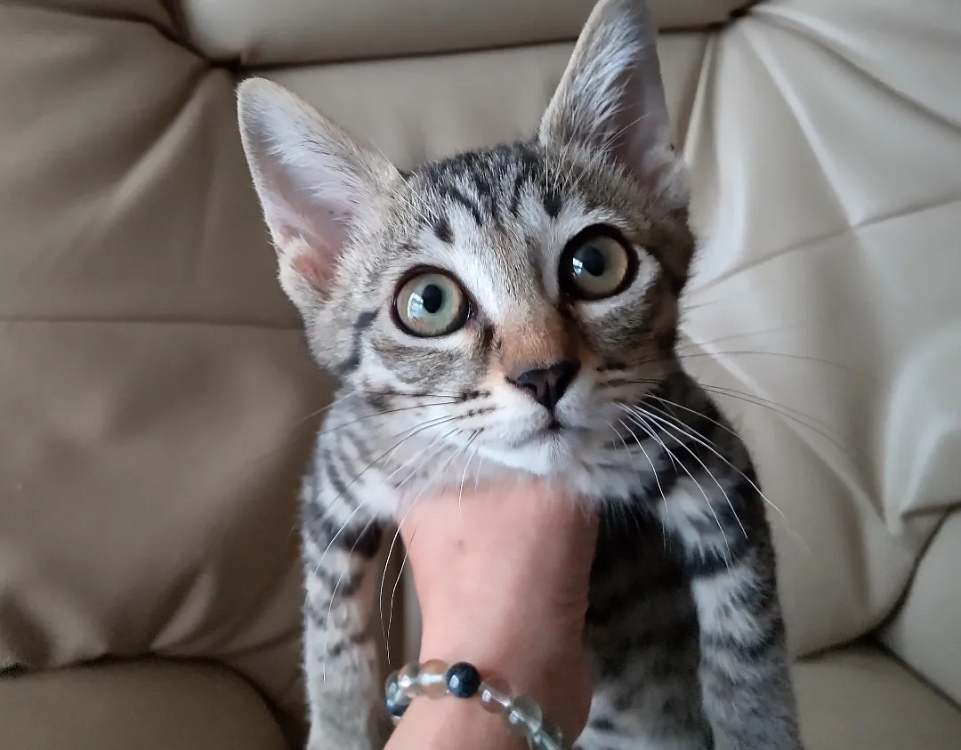 IMG_20220702_180847_557